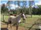 Telegraph Point NSW 2441