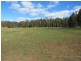 Telegraph Point NSW 2441