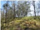 213 Mines Road, Deep Creek NSW 2440
