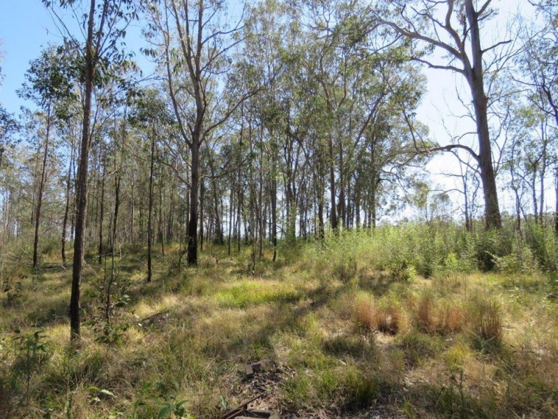 213 Mines Road, Deep Creek NSW 2440