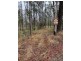213 Mines Road, Deep Creek NSW 2440