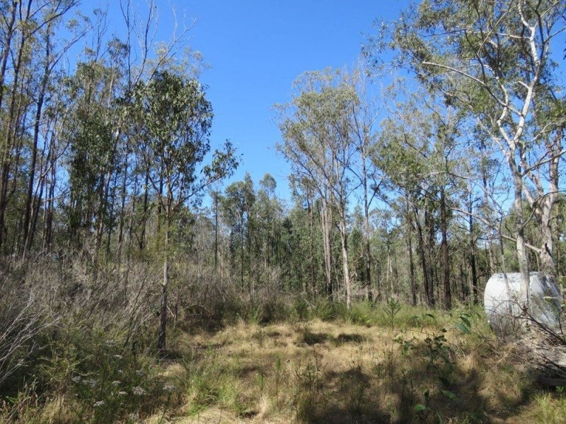 213 Mines Road, Deep Creek NSW 2440