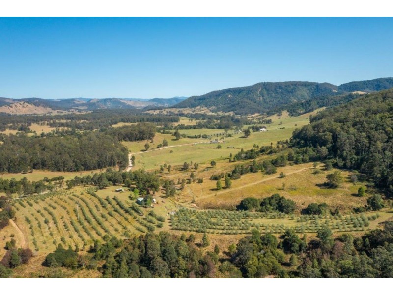 906 Pipeclay Road, Pipeclay NSW 2446