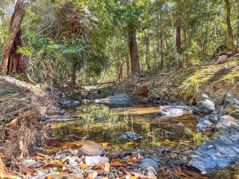 906 Pipeclay Road, Pipeclay NSW 2446