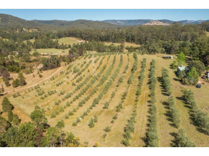 906 Pipeclay Road, Pipeclay NSW 2446