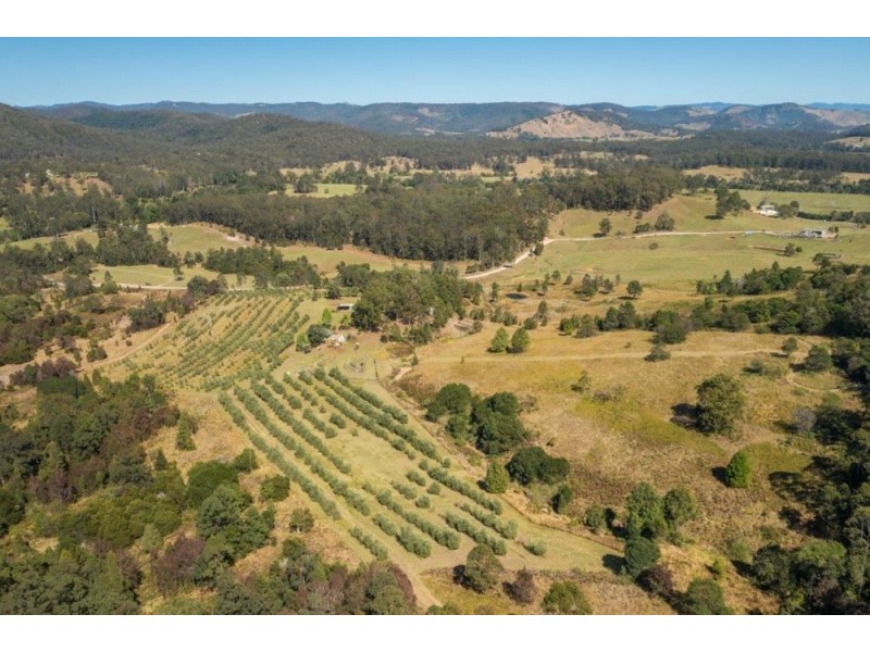 906 Pipeclay Road, Pipeclay NSW 2446