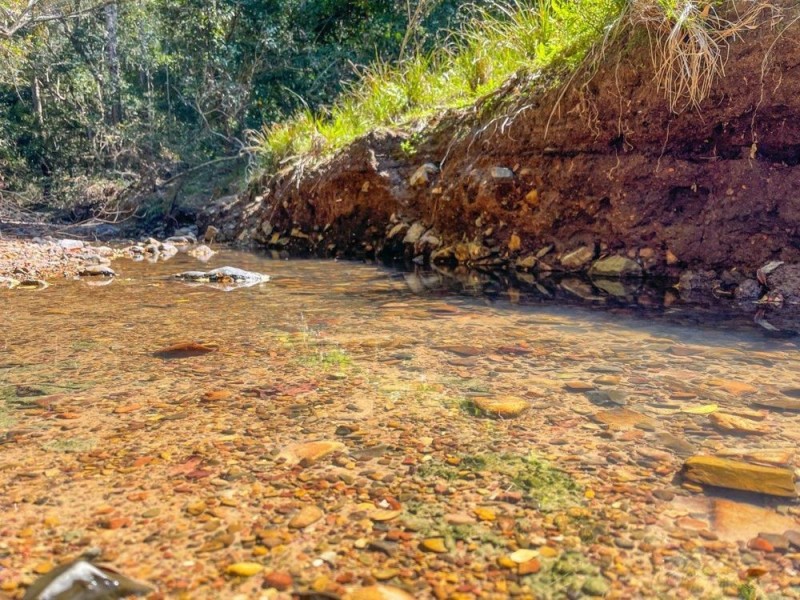 906 Pipeclay Road, Pipeclay NSW 2446