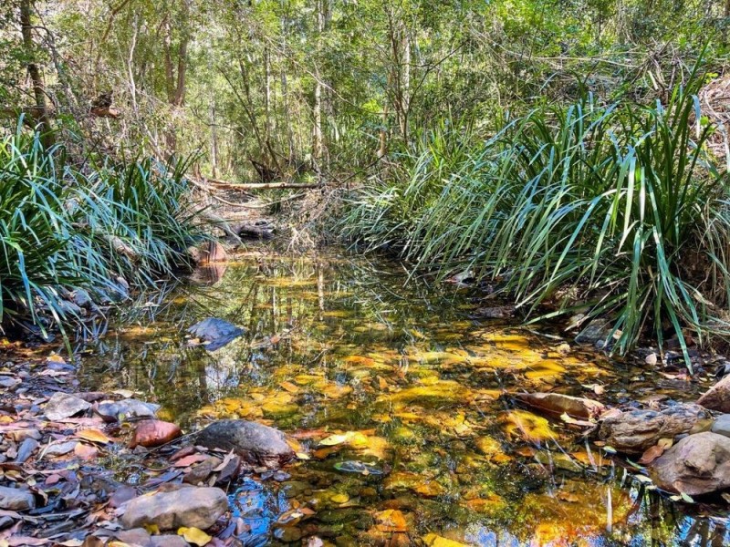 906 Pipeclay Road, Pipeclay NSW 2446