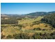 906 Pipeclay Road, Pipeclay NSW 2446