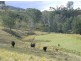 Toorooka NSW 2440
