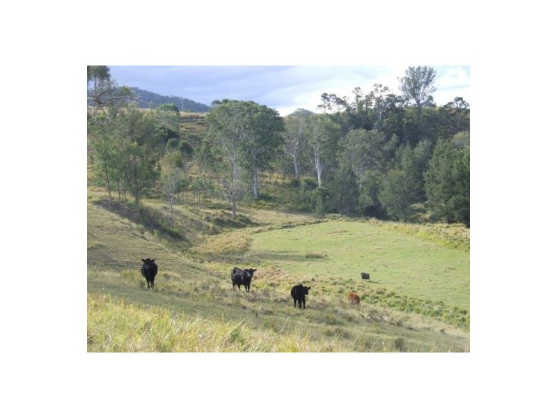 Toorooka NSW 2440