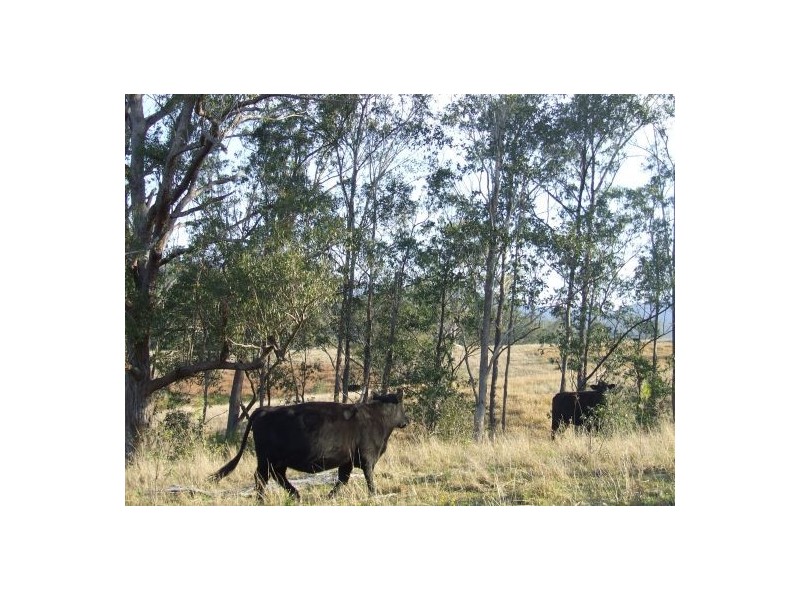Toorooka NSW 2440