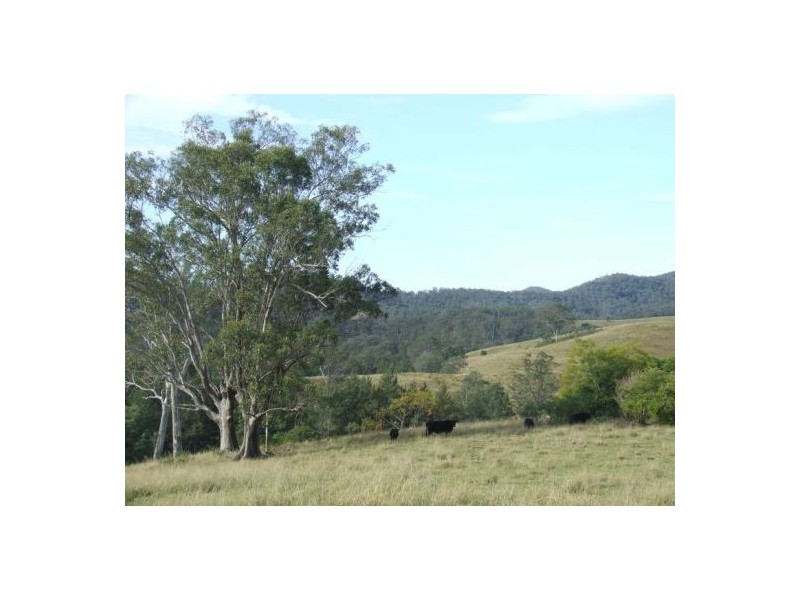 Toorooka NSW 2440
