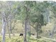 Toorooka NSW 2440