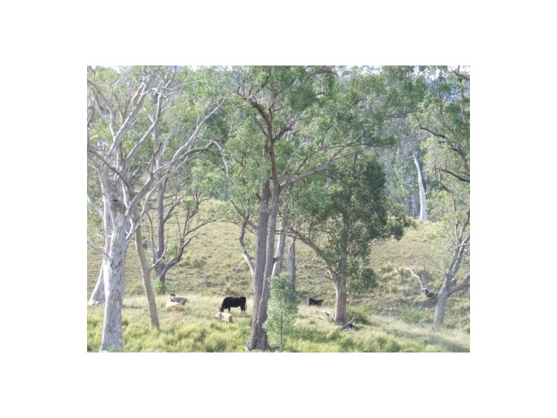 Toorooka NSW 2440