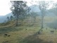 Toorooka NSW 2440