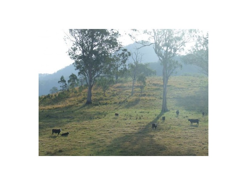 Toorooka NSW 2440