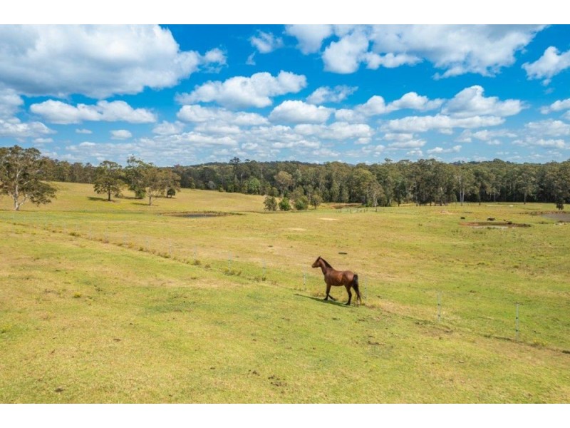 655 Lake Innes Drive, Lake Innes NSW 2446