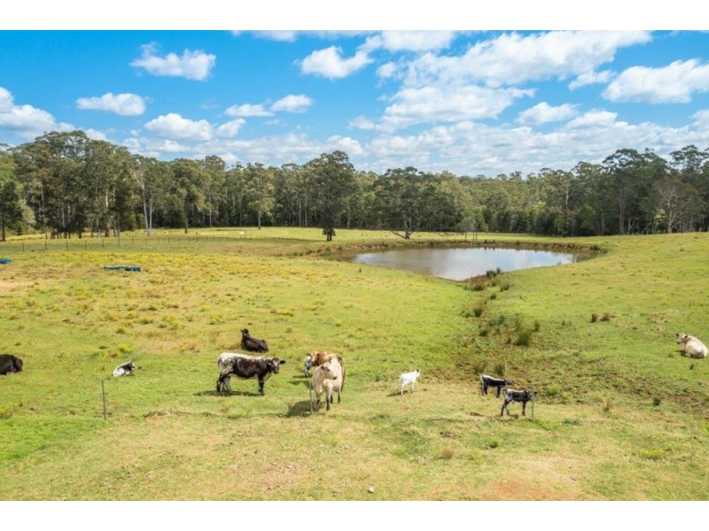 655 Lake Innes Drive, Lake Innes NSW 2446