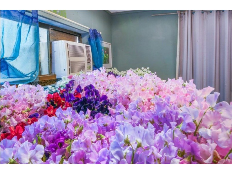 254 Careys Road, Hillville NSW 2430