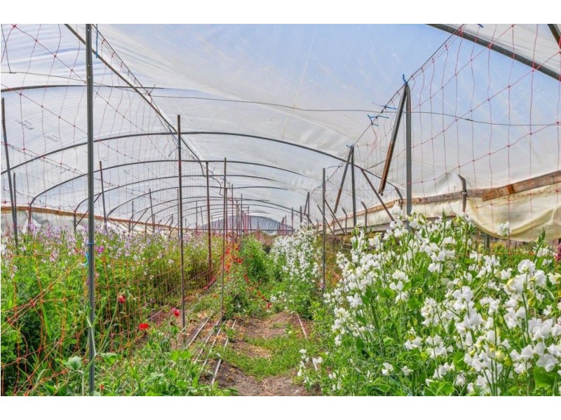 254 Careys Road, Hillville NSW 2430