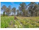 254 Careys Road, Hillville NSW 2430
