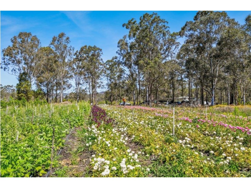 254 Careys Road, Hillville NSW 2430