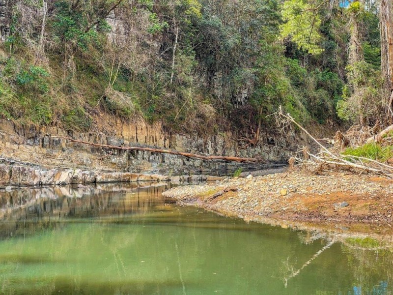 1451 Dungay creek rd, Wittitrin NSW 2440