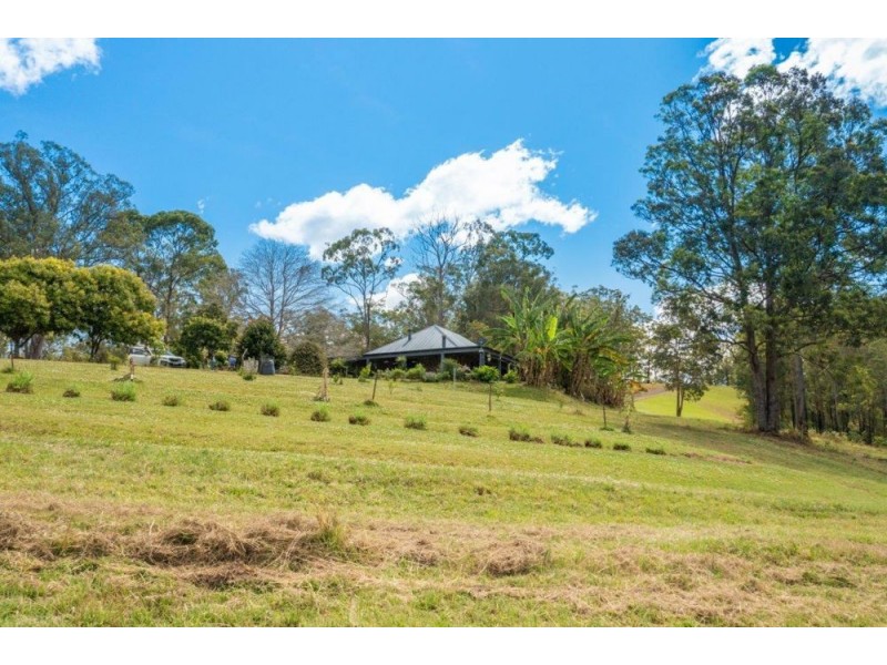1451 Dungay creek rd, Wittitrin NSW 2440