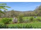 1451 Dungay creek rd, Wittitrin NSW 2440