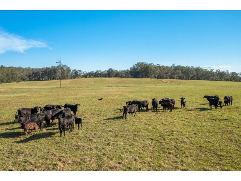 47 Glen Ewan Road, Port Macquarie NSW 2444