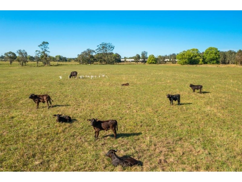 47 Glen Ewan Road, Port Macquarie NSW 2444