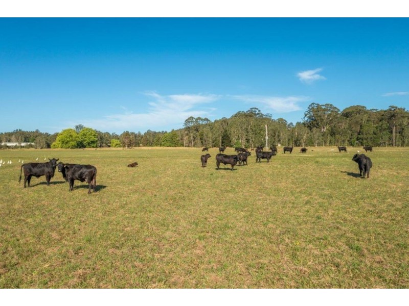 47 Glen Ewan Road, Port Macquarie NSW 2444