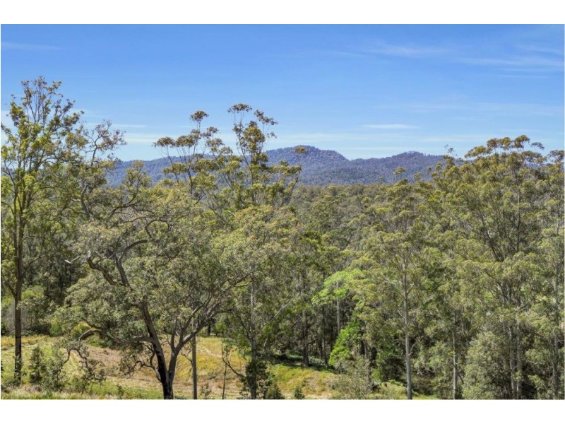 1725 Nulla Nulla Road, Bellbrook NSW 2440