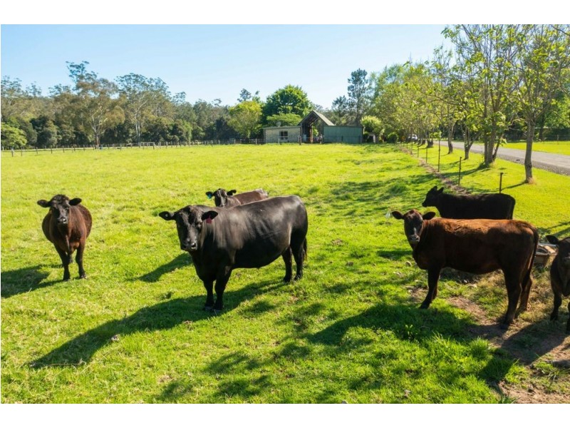 302 Clarefield Dungay Creek Rd, Marlo Merrican NSW 2446