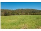 302 Clarefield Dungay Creek Rd, Marlo Merrican NSW 2446