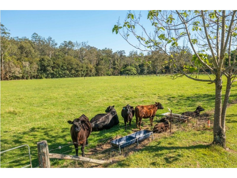 302 Clarefield Dungay Creek Rd, Marlo Merrican NSW 2446