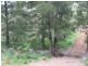 The Alaskans Curricabark Road, Dewitt NSW 2422