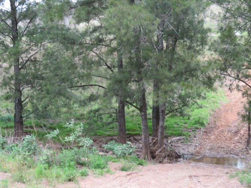 The Alaskans Curricabark Road, Dewitt NSW 2422