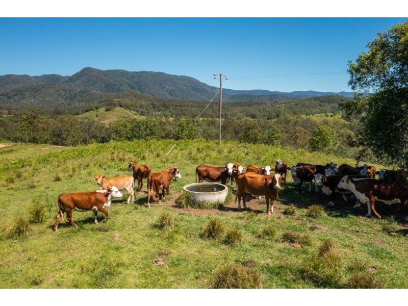 922 Forbes River Road, Birdwood NSW 2446