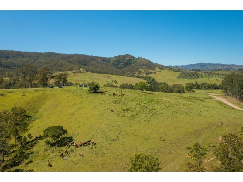 922 Forbes River Road, Birdwood NSW 2446