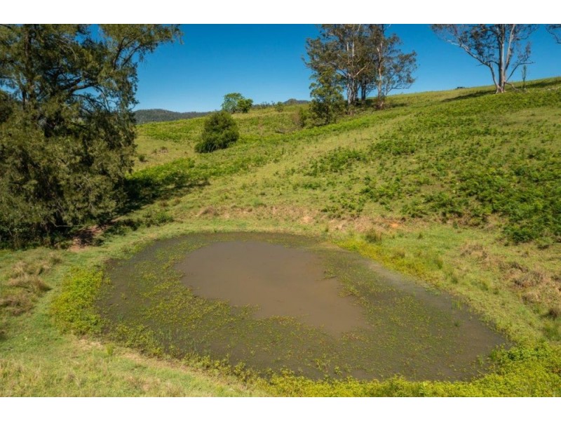 922 Forbes River Road, Birdwood NSW 2446