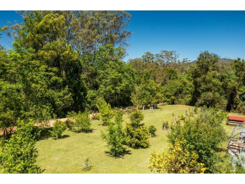 922 Forbes River Road, Birdwood NSW 2446