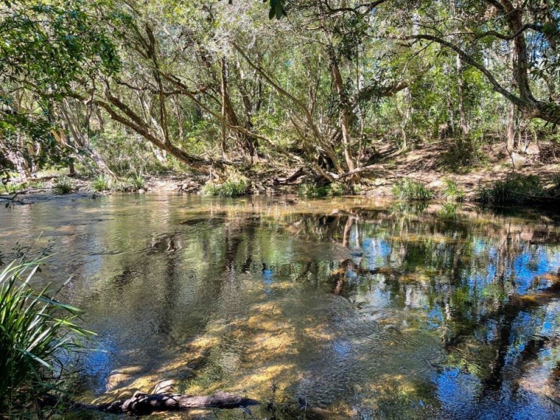 922 Forbes River Road, Birdwood NSW 2446