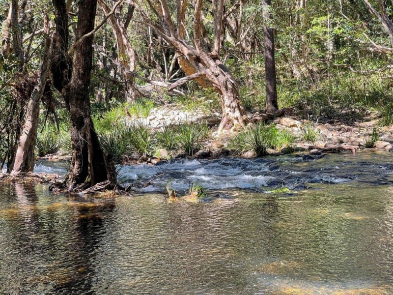 922 Forbes River Road, Birdwood NSW 2446