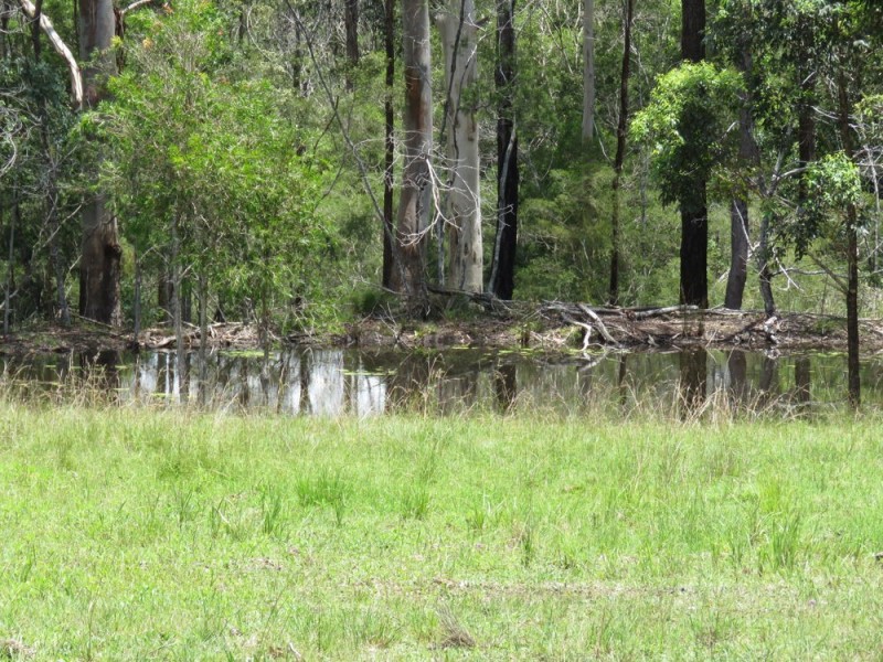 100 Ravenswood Road, Kundabung NSW 2441