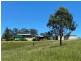 835 Willi Willi Road, Willi Willi NSW 2440