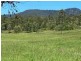 835 Willi Willi Road, Willi Willi NSW 2440