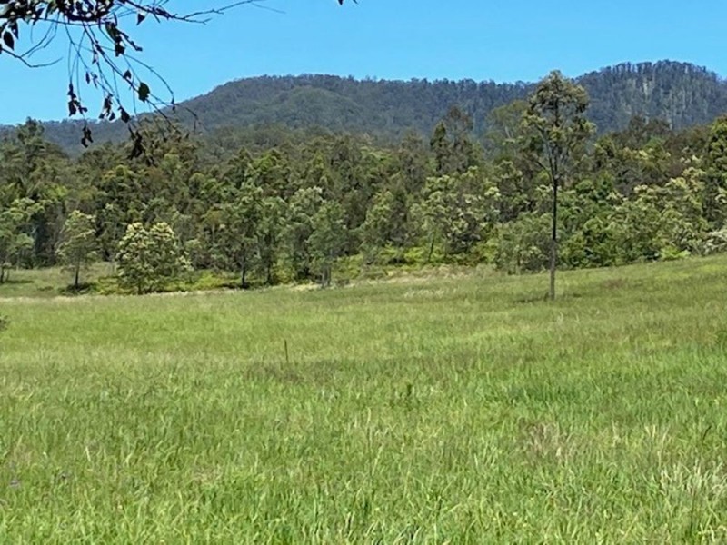 835 Willi Willi Road, Willi Willi NSW 2440