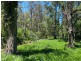 835 Willi Willi Road, Willi Willi NSW 2440